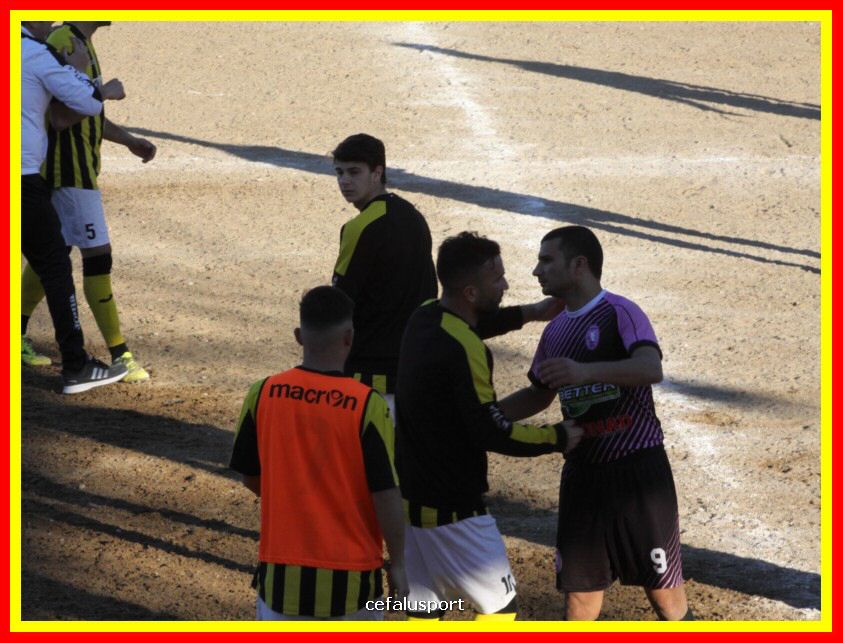 190310 Cephal_Torrenov 208_tn.jpg